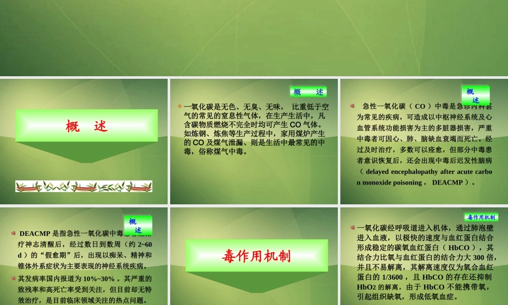 急性一氧化碳中毒(张红).ppt