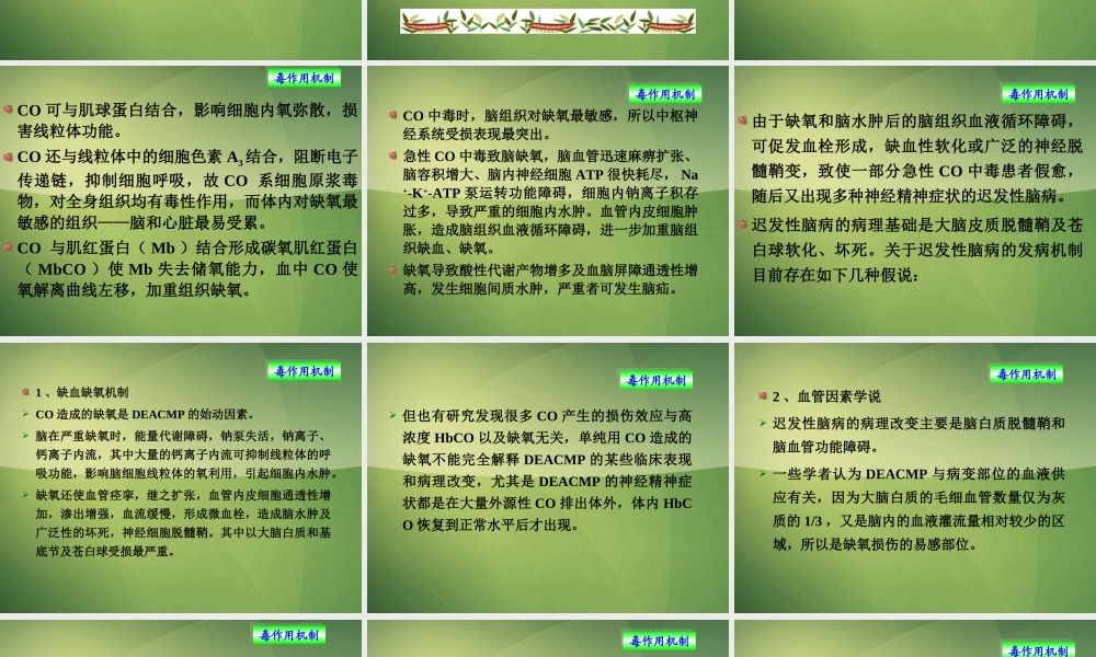 急性一氧化碳中毒(张红).ppt