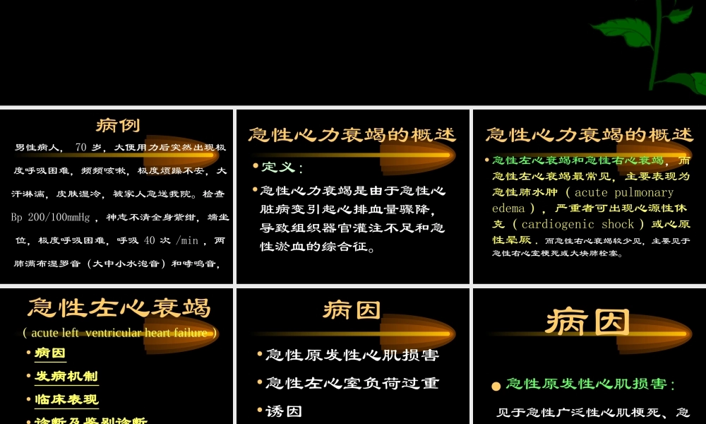 急性左心衰竭-PPT幻灯.ppt