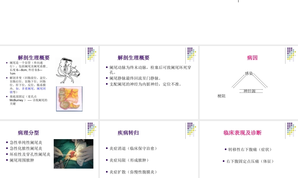 急性阑尾炎-(2).ppt