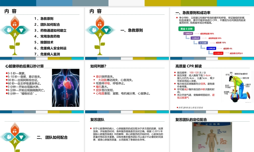 急救团队配合.ppt