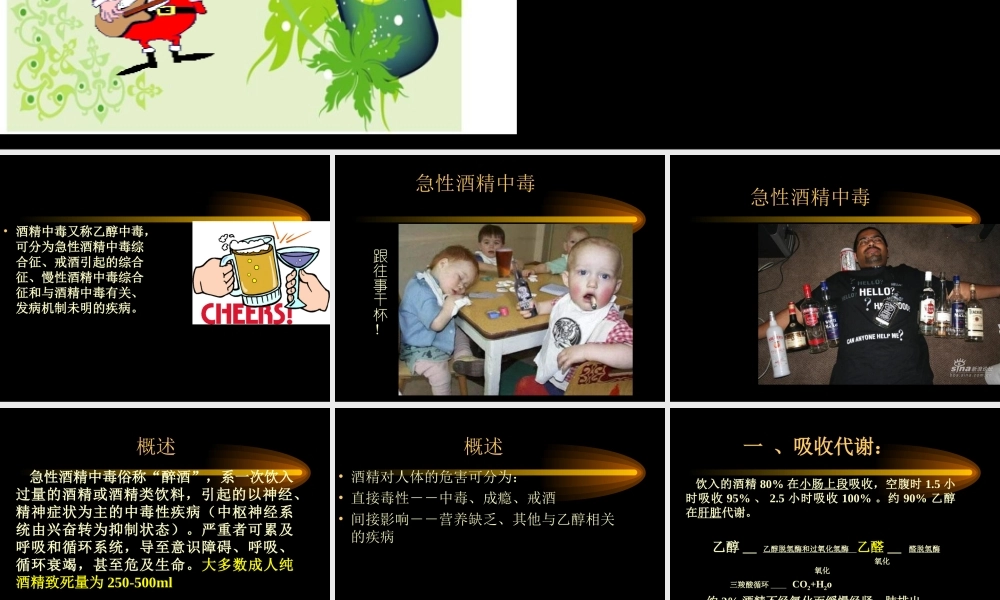 急性酒精中毒概论.ppt