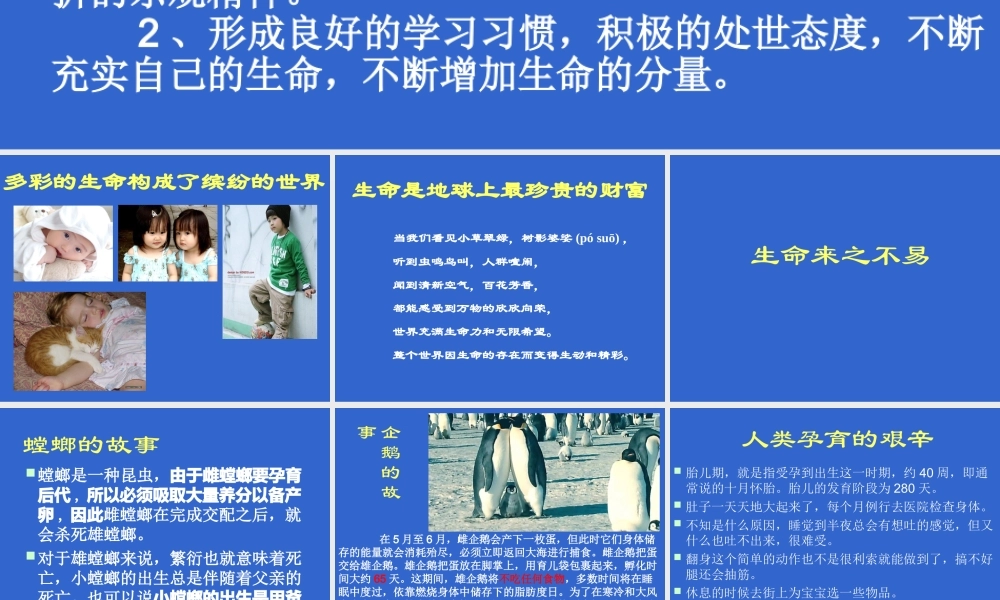 感恩父母珍爱生命.ppt