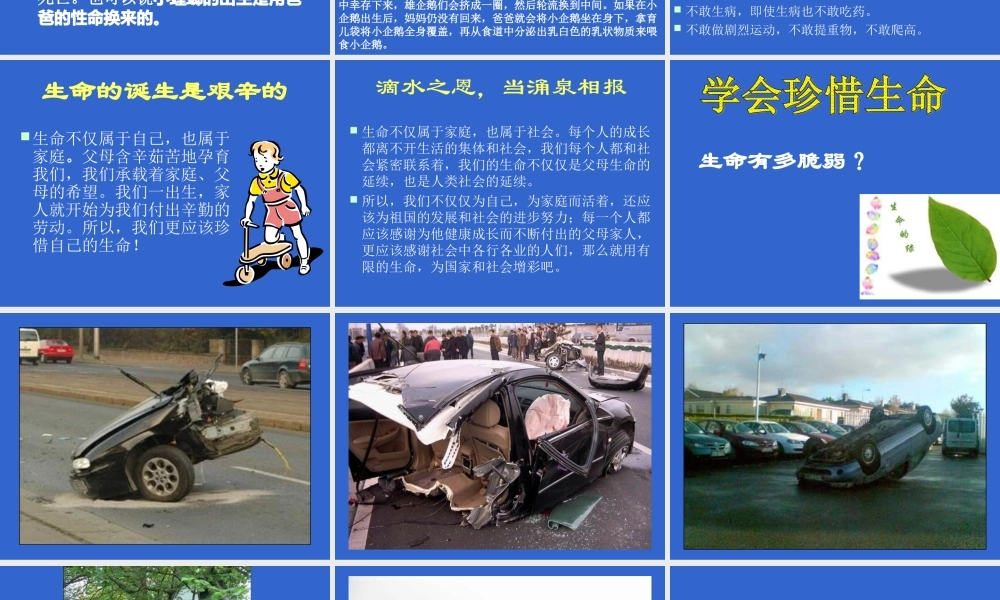 感恩父母珍爱生命.ppt