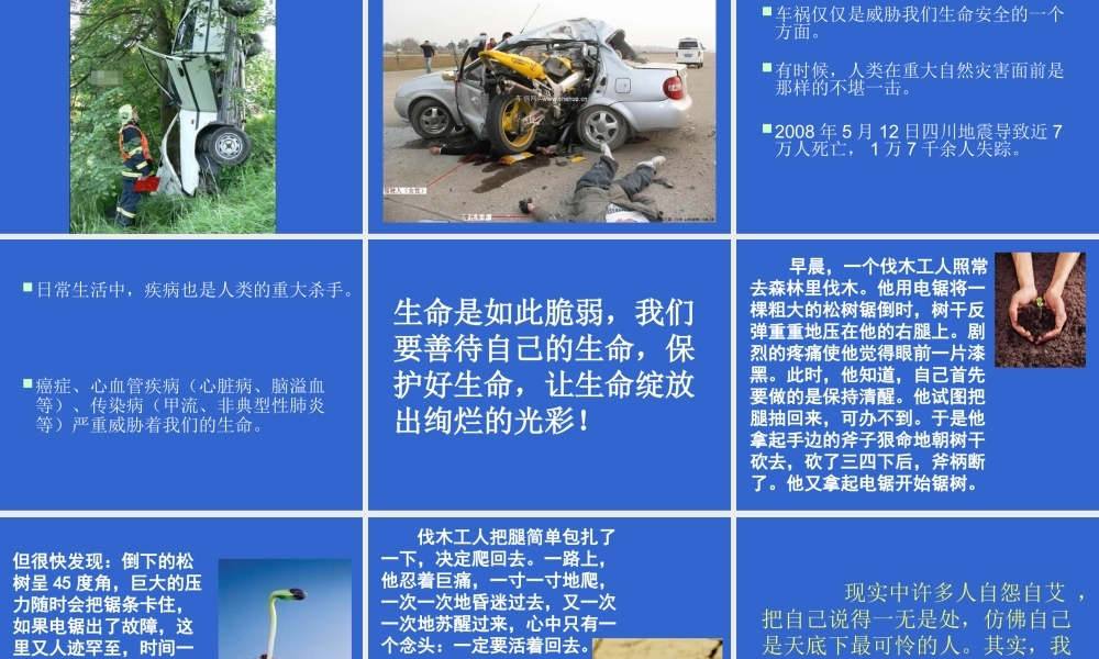 感恩父母珍爱生命.ppt