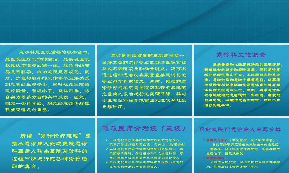 急诊诊疗流程.ppt