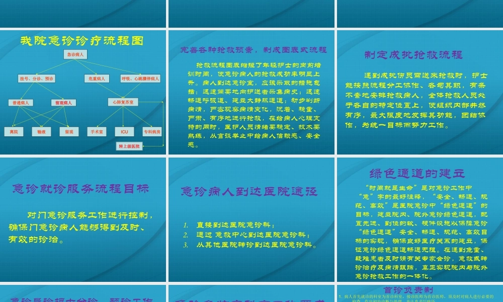 急诊诊疗流程.ppt