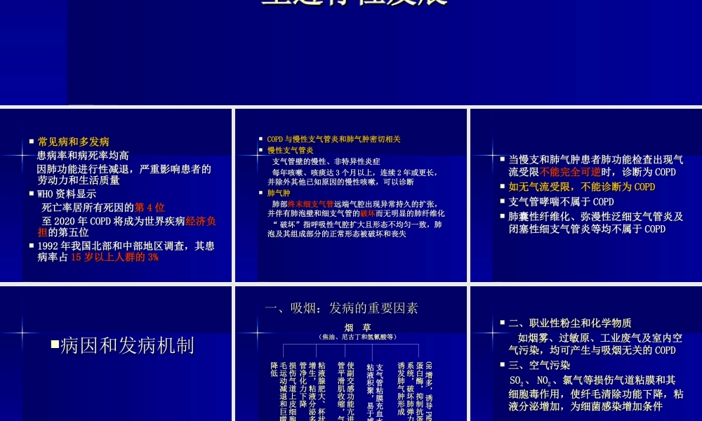 慢性阻塞性肺病.ppt.ppt