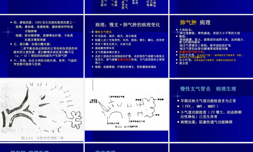 慢性阻塞性肺病.ppt.ppt