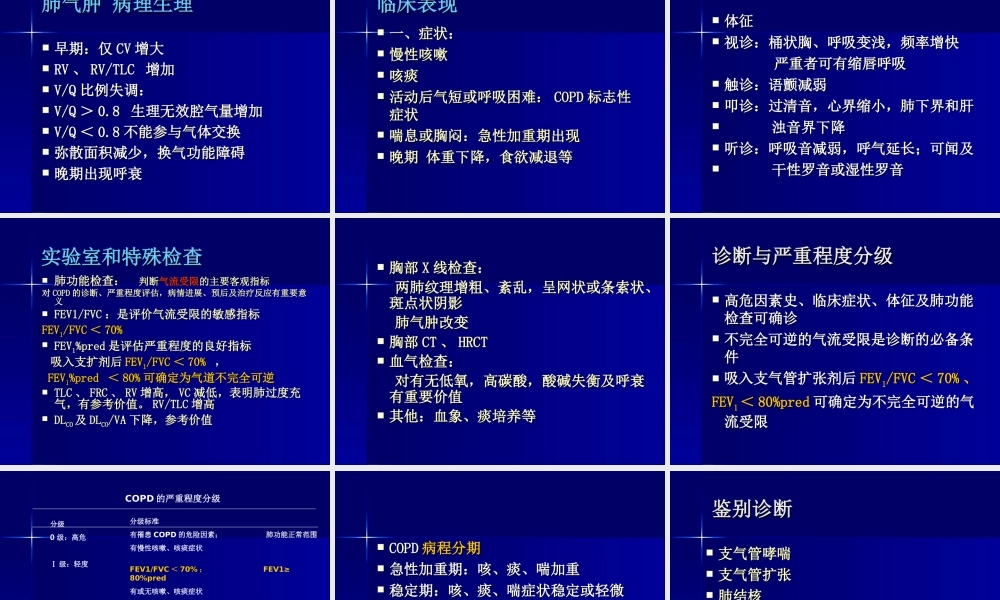 慢性阻塞性肺病.ppt.ppt