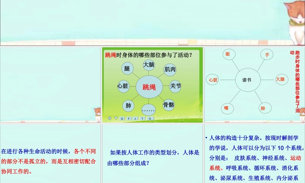 教-4.2《骨骼、关节和肌肉》.ppt