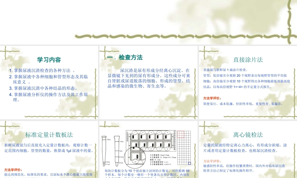 尿液有形成分及尿分析仪.ppt