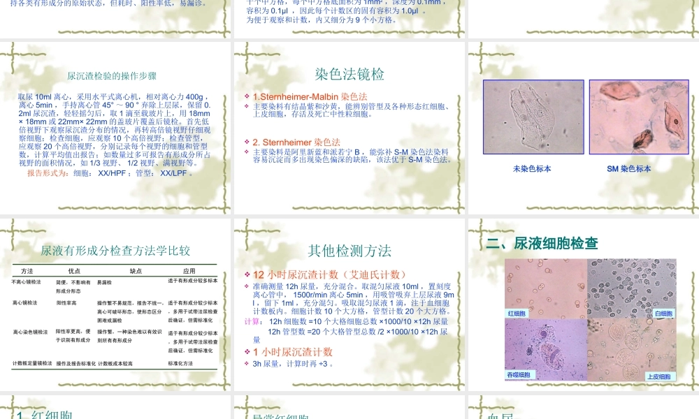 尿液有形成分及尿分析仪.ppt