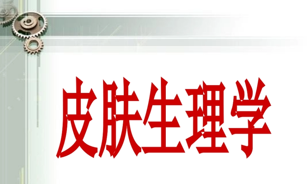 最新皮肤生理基础知识.ppt