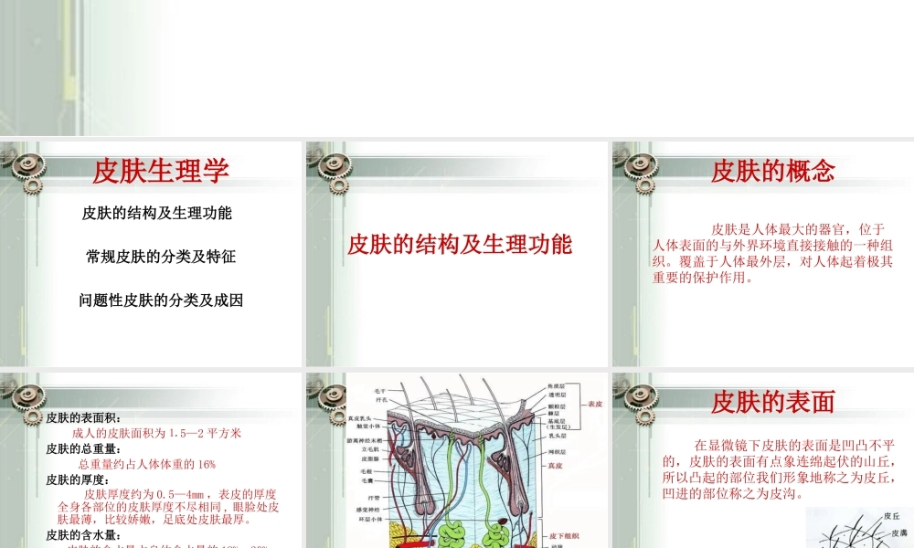 最新皮肤生理基础知识.ppt