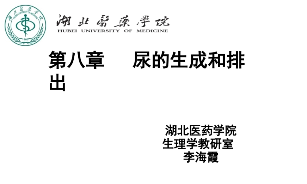 尿生成和排出.ppt