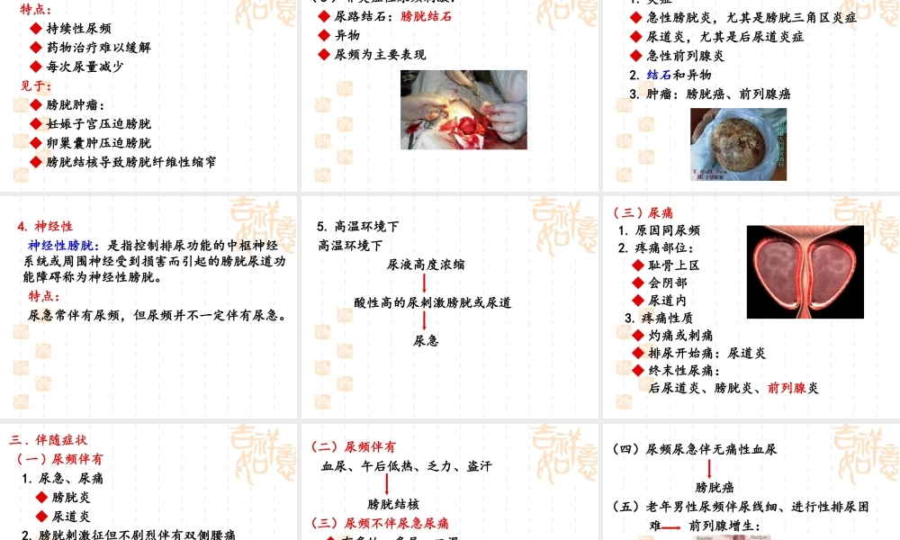 尿频、尿急、尿痛.ppt