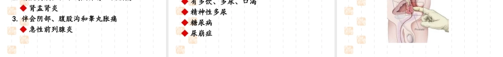 尿频、尿急、尿痛.ppt