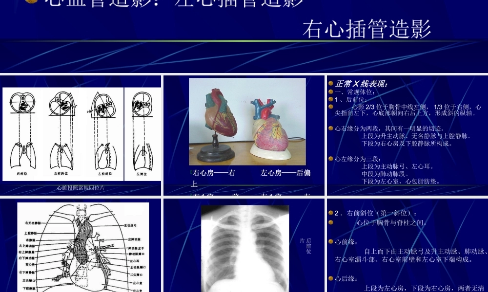 正常表现与基本病变.ppt