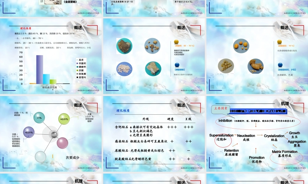 尿石症讲稿-庄志明.ppt