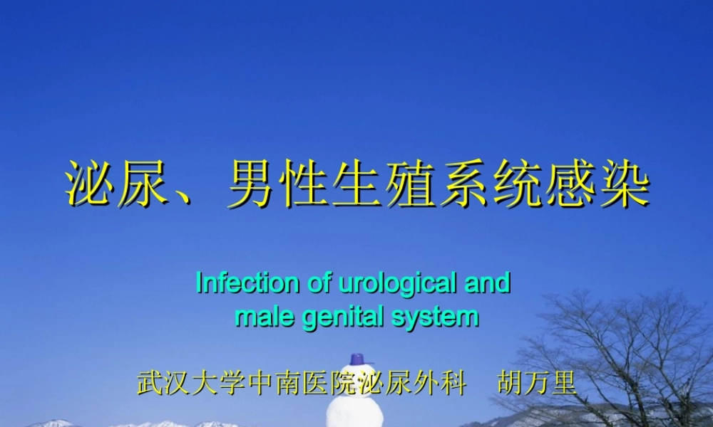泌尿、男生殖系统感染-胡万里.ppt
