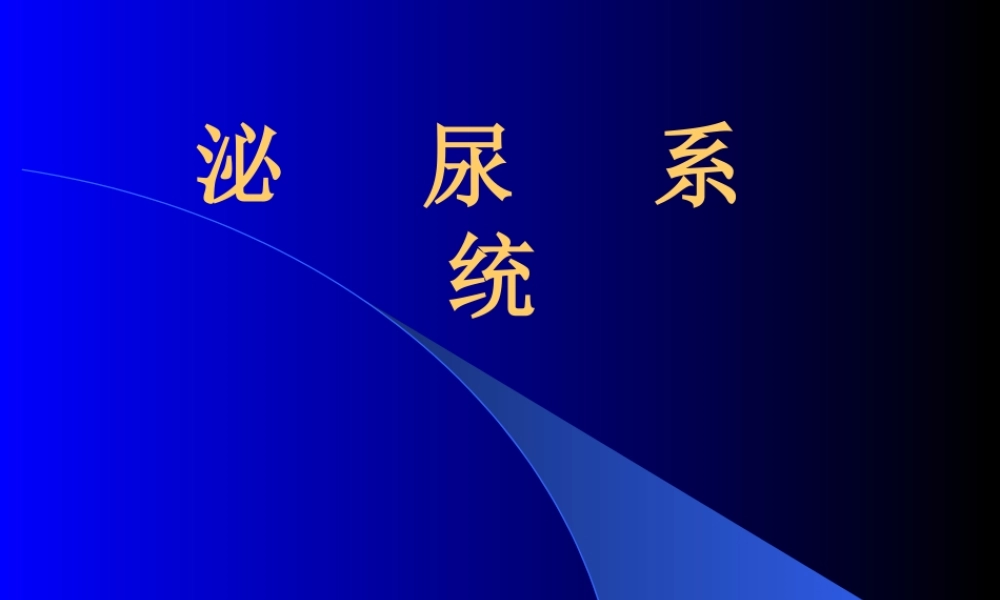 泌尿检查方法及结石.ppt