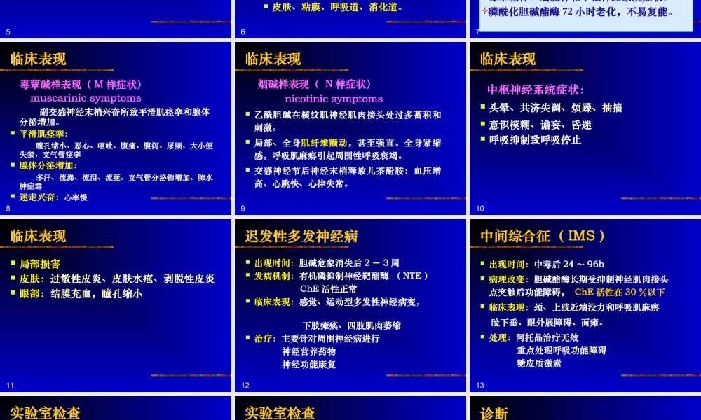 常见急性中毒.ppt