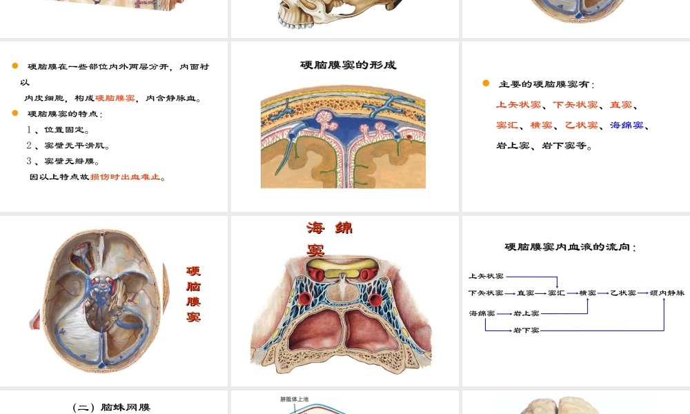 局解---脑脊髓被膜及血管.ppt