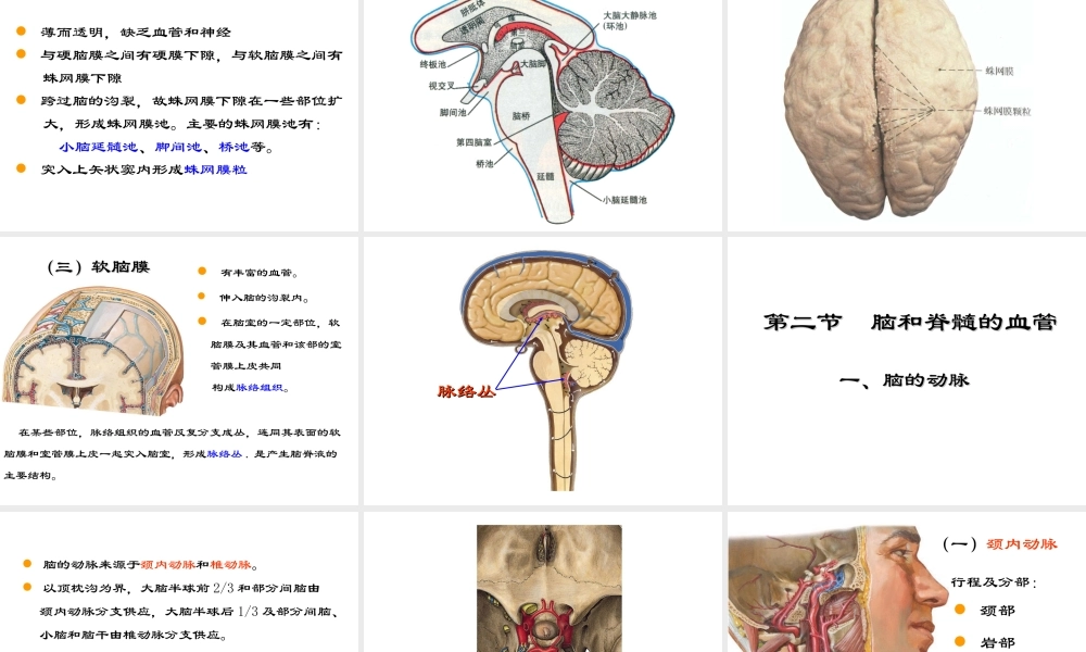 局解---脑脊髓被膜及血管.ppt