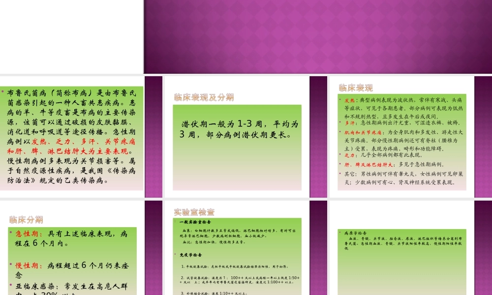 布鲁氏菌病PPT.ppt