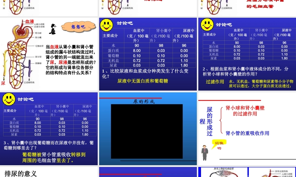 尿液形成的过程.ppt