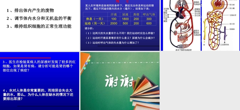 尿液形成的过程.ppt