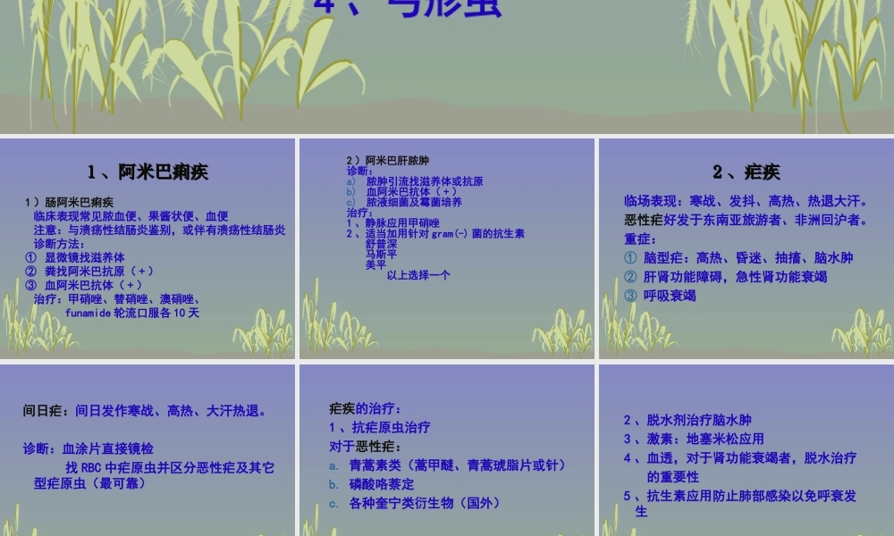 常见寄生虫病(诸葛传德主任).ppt