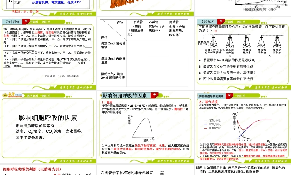 影响细胞呼吸的因素讲课.ppt