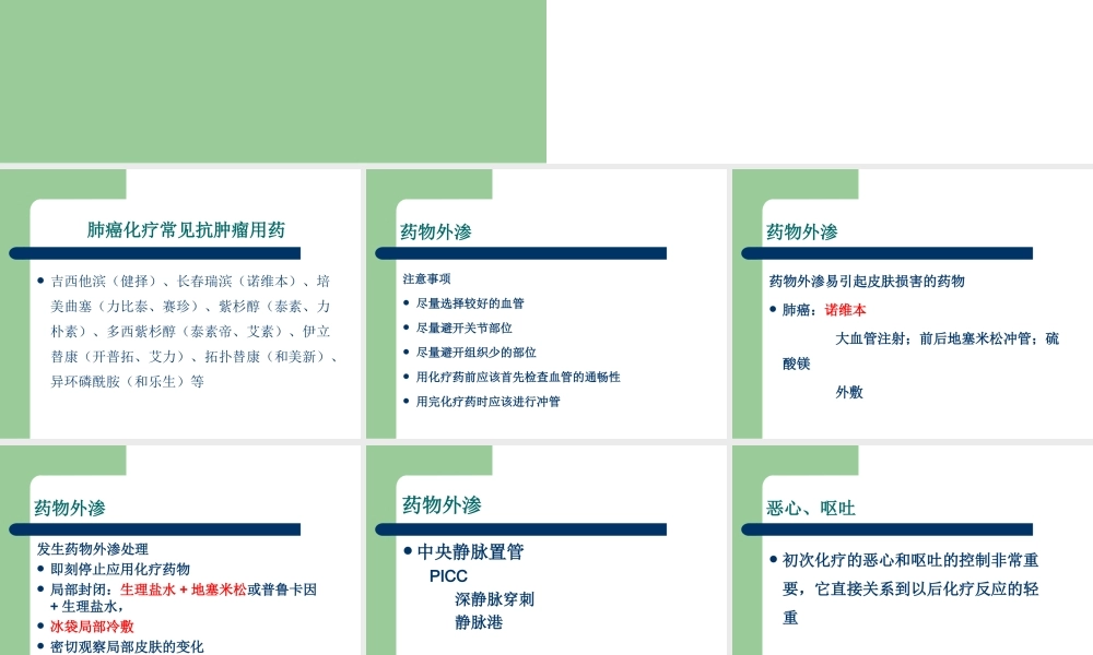 常见化疗副反应的处理.ppt