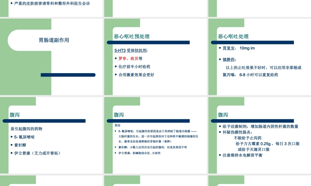 常见化疗副反应的处理.ppt