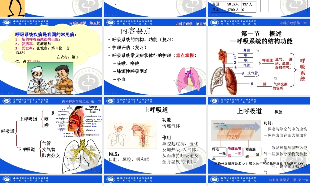 怀素丽第二章-呼吸系统-第一节.ppt