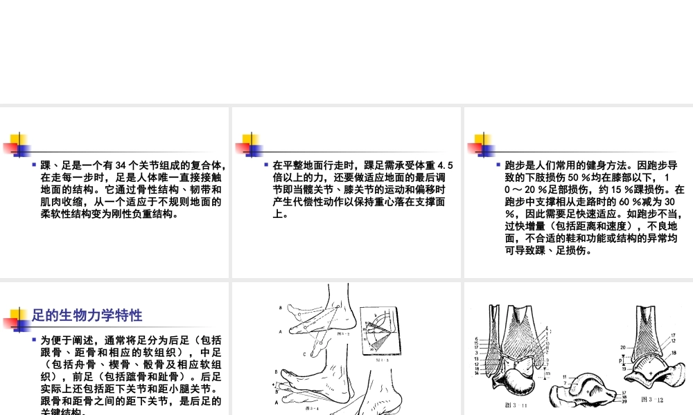 常见踝﹑足跑步损伤的康复.ppt