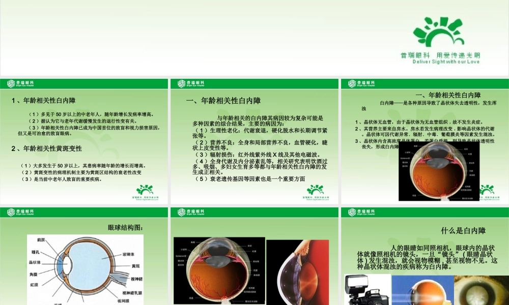 年龄相关性眼病-普瑞眼科医院-艾碧君院长-2014-09-16.ppt