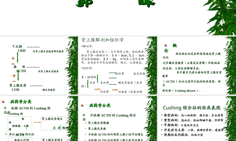 库欣综合征5.ppt