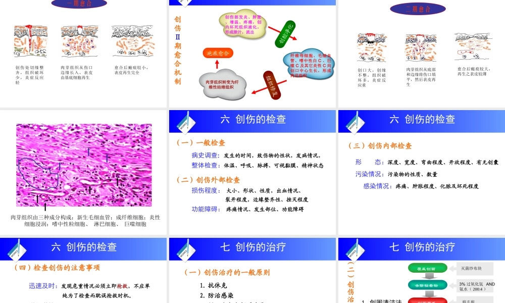 开放性损伤-创伤.ppt