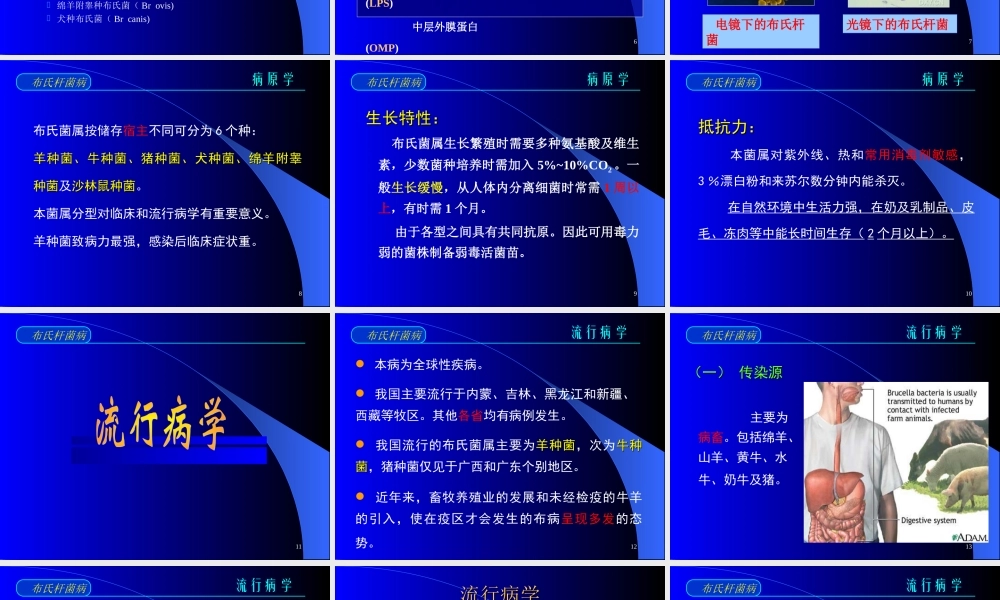 布氏杆菌病诊疗.ppt