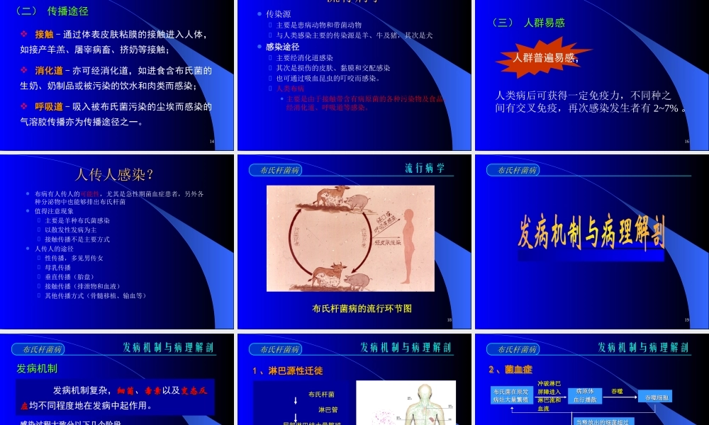 布氏杆菌病诊疗.ppt