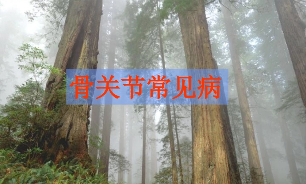 常见病2(感染).ppt