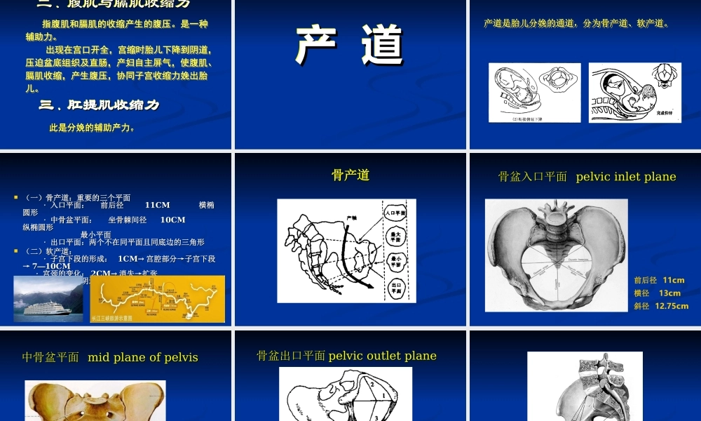 彭玲-正常分娩.ppt