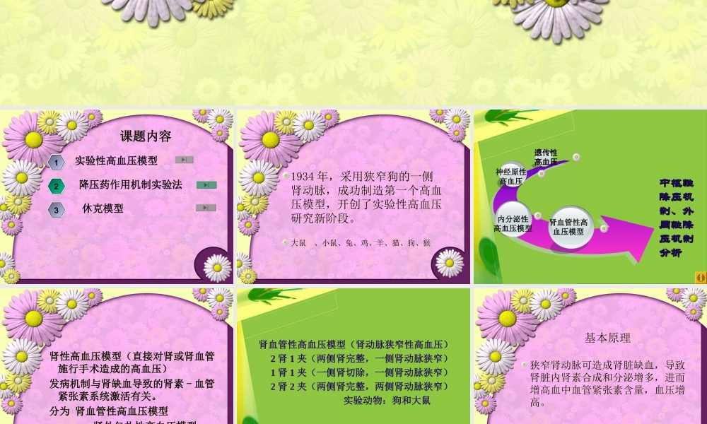 抗高血压模型.ppt