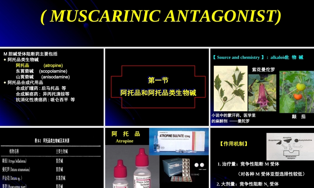 本M胆碱受体阻断药.ppt