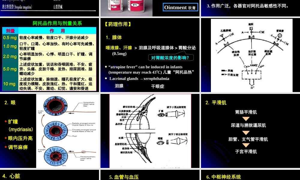 本M胆碱受体阻断药.ppt