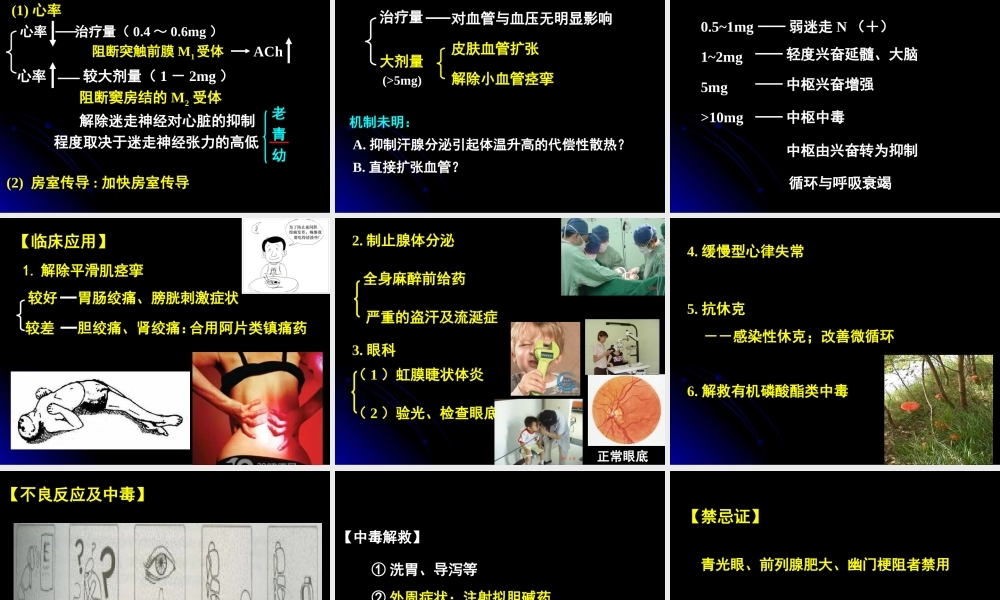 本M胆碱受体阻断药.ppt