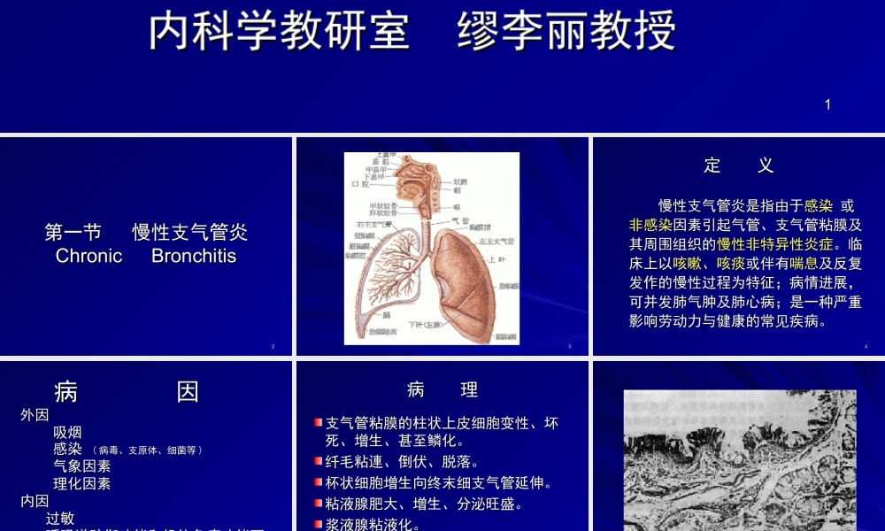 慢性支气管炎肺气肿2.ppt
